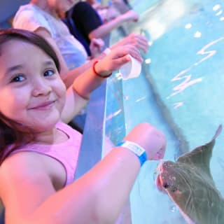 Tickets to SeaQuest Woodbridge in New York 1