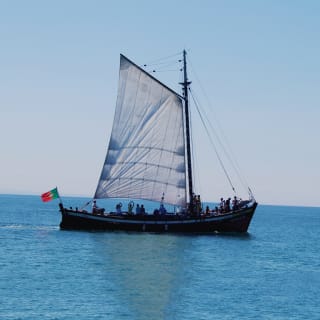 Descobre a Rota dos Golfinhos num cruzeiro da Get Zen 1