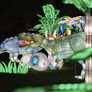 Escape! NYC Winter Lantern Festival at Snug Harbor 3