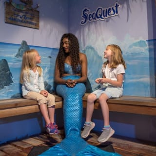 Tickets to SeaQuest Woodbridge in New York 3