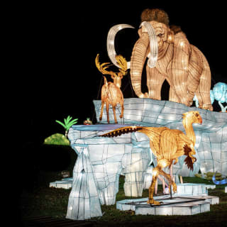 Escape! NYC Winter Lantern Festival at Snug Harbor 5