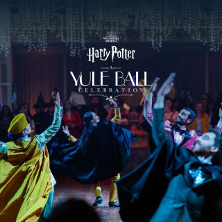 Harry Potter: A Yule Ball Celebration 3