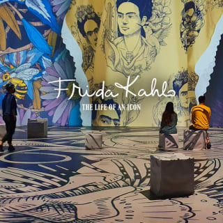 Frida Kahlo: The Life of an Icon 2