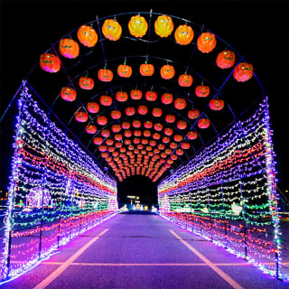 Spooktacular Light Show: 2km Halloween drive-through 5