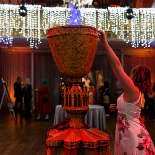 Harry Potter: A Yule Ball Celebration 5