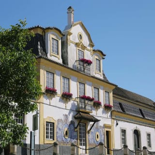 Visita guiada à Casa Museu José Maria da Fonseca com degustação 2