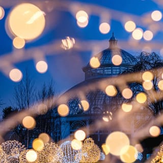 NYBG Glow: Holiday Lights Display 4
