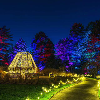 NYBG Glow: Holiday Lights Display 5