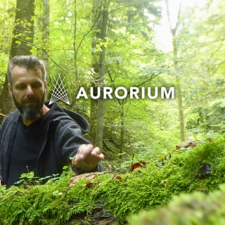 AURORIUM - ENLIGHTMENT - Der breite Raum 2