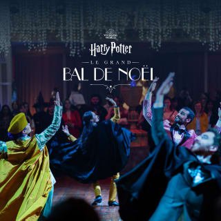 Harry Potter : Le grand Bal de Noël 3
