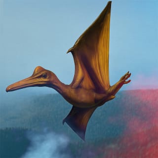 Jurassic Safari Experience 2 - São Paulo - Lista de espera 6