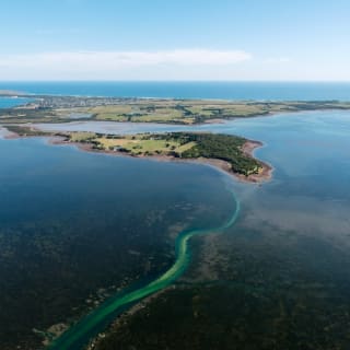 25-Minute Helicopter Flight: Phillip Island Full Island 3