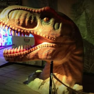Jurassic Gardens: la aventura definitiva con dinosaurios 6