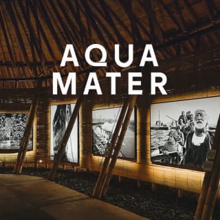 Aqua Mater : Exposition de Sebastião Salgado dans un pavillon en bambou 4