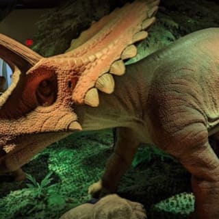 Jurassic Gardens: la aventura definitiva con dinosaurios 7