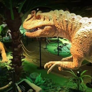 Jurassic Gardens: la aventura definitiva con dinosaurios 9