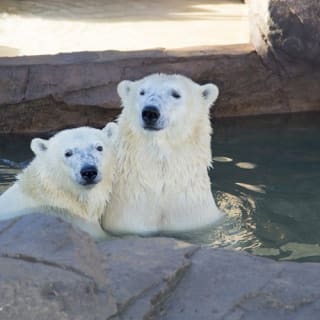 Marineland Antibes and Kid's Island 2