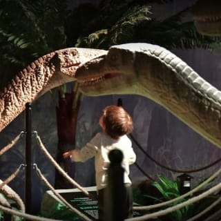 Jurassic Gardens: la aventura definitiva con dinosaurios 10