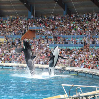 Marineland Antibes and Kid's Island 4