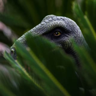 ¡Entradas para Mundo Dinosaurios! 4