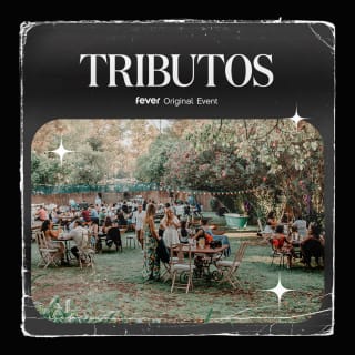 Tributos: O melhor dos Pink Floyd no Monsantos Open Air 2