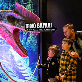 Dino Safari: A Walk-Thru Adventure 2