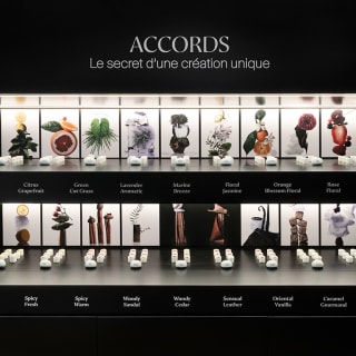 Crée ton propre parfum chez The Alchemist Atelier 2
