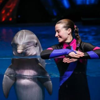 Georgia Aquarium 3
