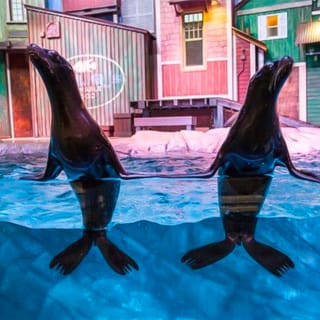 Georgia Aquarium 4