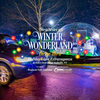 Westchester's Winter Wonderland 2024 4