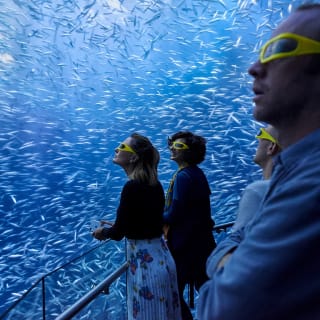 Dive Under the Sea with Nat Geo Encounter! 1