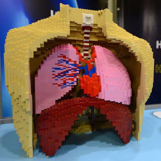 A maior exposição da Europa de modelos feitos com peças Lego® 6