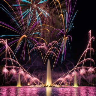 Nocturnes Électro au Château de Versailles 3