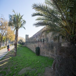 Heritage Seville: Las Setas, La Macarena and Dueñas 4
