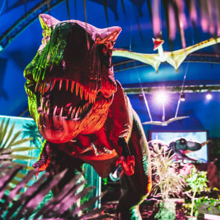 Exposición de dinosaurios +  entrada en Poble Espanyol 3