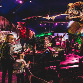 Exposición de dinosaurios +  entrada en Poble Espanyol 5
