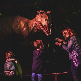 Exposición de dinosaurios +  entrada en Poble Espanyol 6