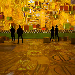 Klimt: La experiencia inmersiva 5
