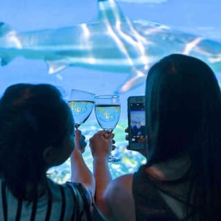 Dive Under the Sea with Nat Geo Encounter! 3