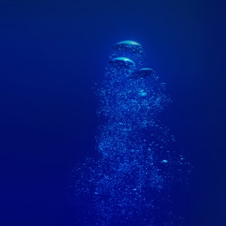 Dive Under the Sea with Nat Geo Encounter! 4