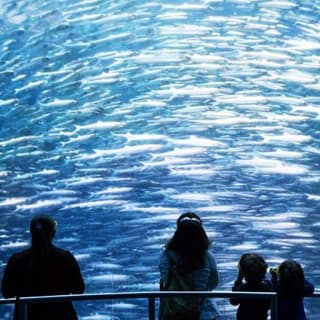 Dive Under the Sea with Nat Geo Encounter! 5