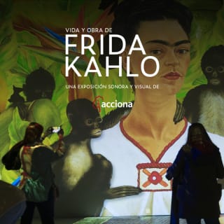 Vida y Obra de Frida Kahlo: una exposición sonora y visual 3