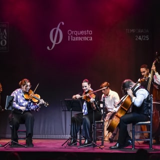 Flamenco Orchestra in Flamenco Theater Seville 1