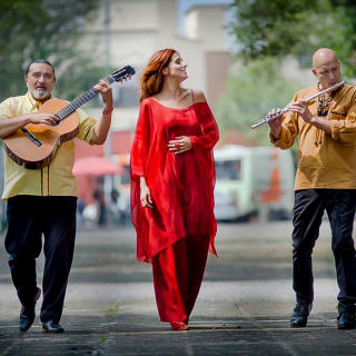 No One Can Stop the Wind: Tribute to Mercedes Sosa 1