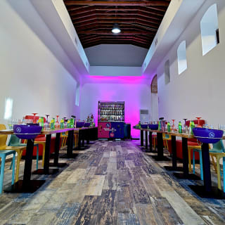 Experiencia premium: tour guiado con cata + GIN Tonic final 2
