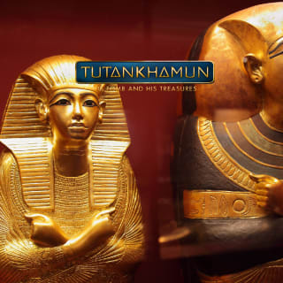 Tutankhamun: His Tomb and His Treasures - L'Exposition 4