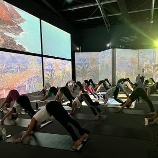 Movement Party by Revel at Van Gogh Alive 2