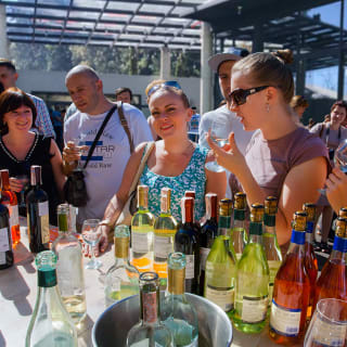 Primera Vendimia Chilanga: ¡festival de vinos, música y más sorpresas! 5