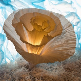 L'Océan de Léa - Exposition Immersive by JFJ 3