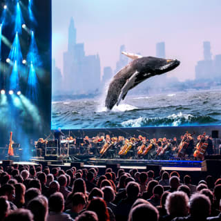 Blue Planet III Live in Concert - Birmingham 2